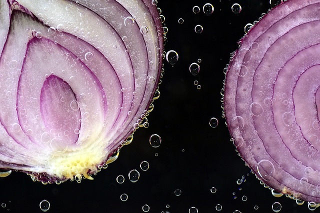 cibule ve vodě